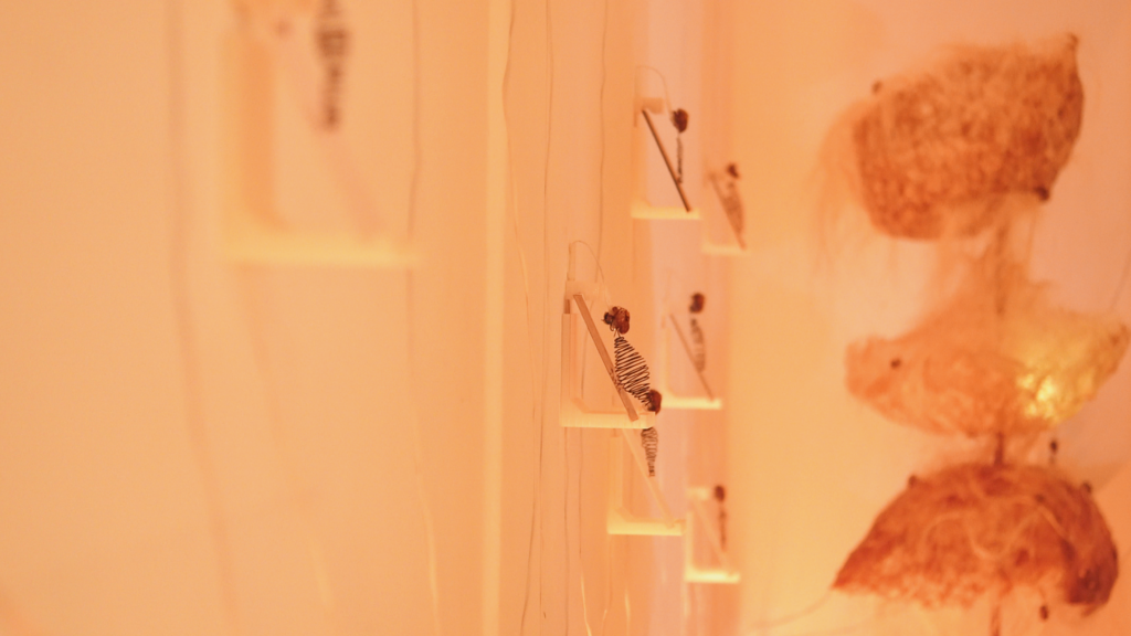 Was zeigen Künstler:innen auf der International Computer Music Conference? Installative Einblicke geben Aufschluss | Foto: Rafaela Blanch Pires & Adriano Monteiro